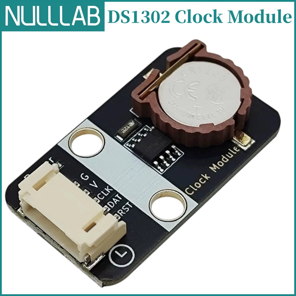 DS1302 Real-Time Clock Module  - Esp32 Battery Holder Lipo 评论和价格